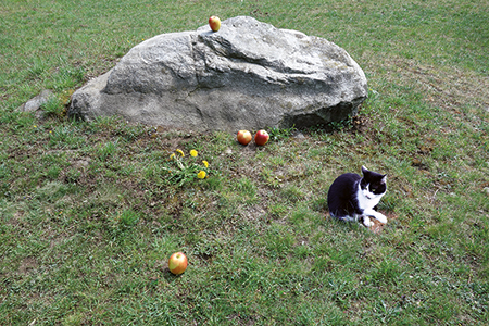 Composition, Laura Solari, 2015